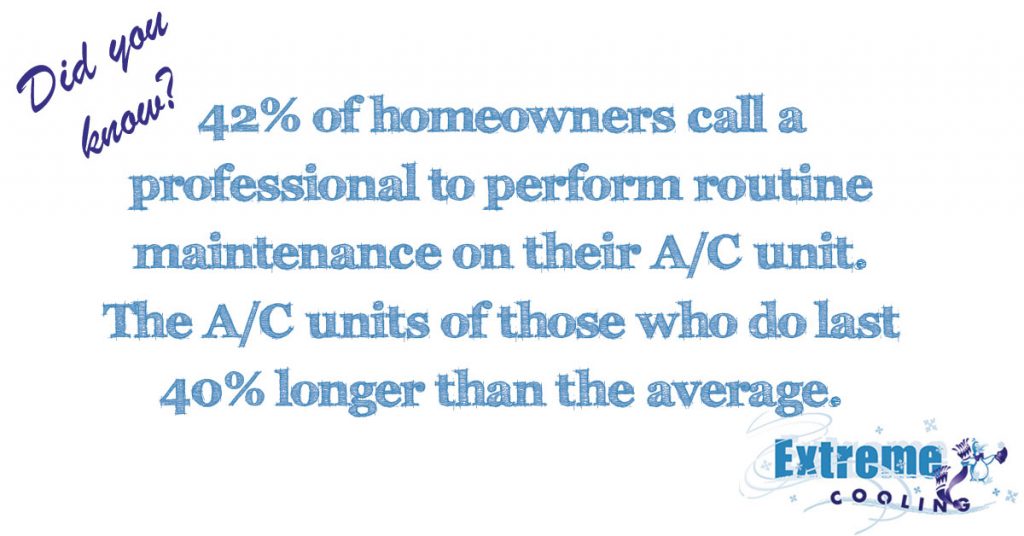 Did You Know…
